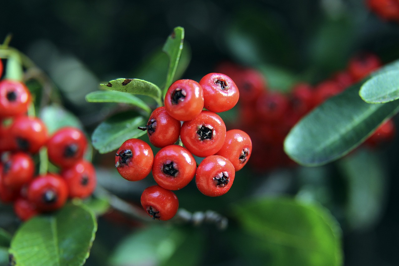 热火队的板 热火队的板