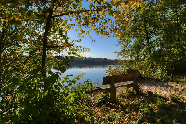 供更多的 供更多的