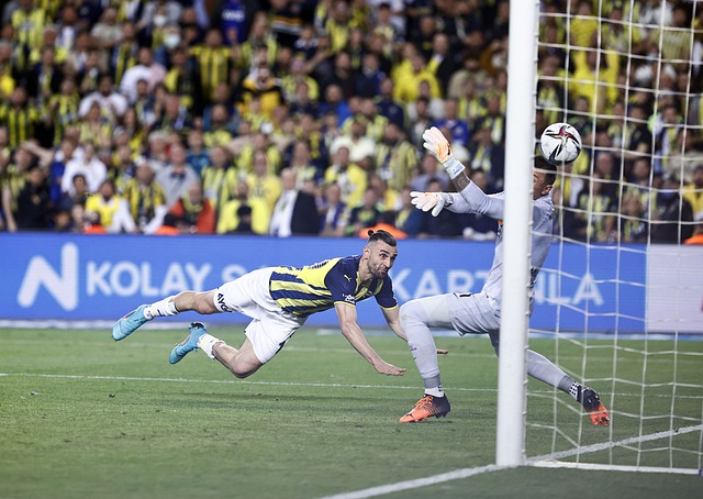 与体育完美 与体育完美